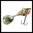 Balzer Shirasu Spin Buddy Rotfeder Evel Eye mit Bleikörper in 8 / 12,5 / 17 und 21 Gramm